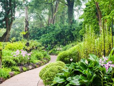 Botanic Gardens, Singapore